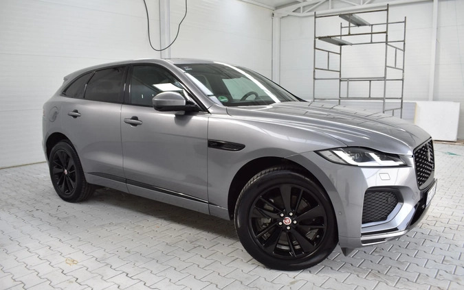 Jaguar F-Pace cena 204900 przebieg: 62000, rok produkcji 2020 z Ryn małe 781